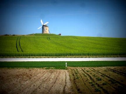 wind field